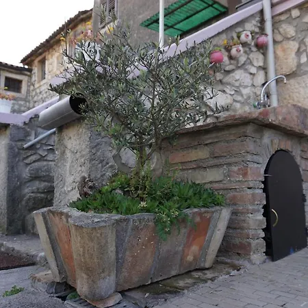 House Leon Brtonigla