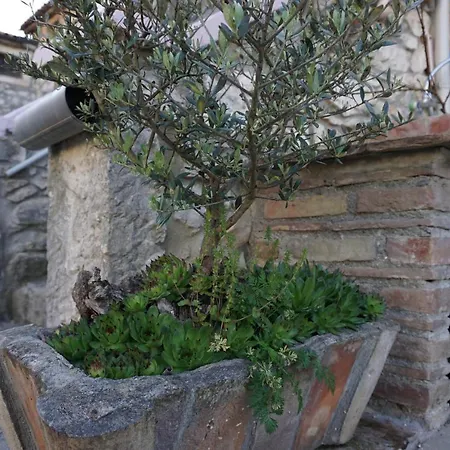 Dom wakacyjny House Leon